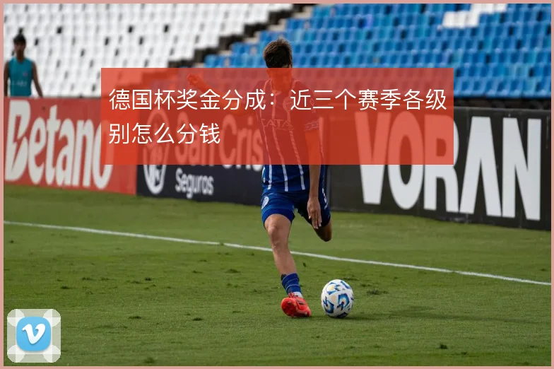 德国杯奖金分成：近三个赛季各级别怎么分钱