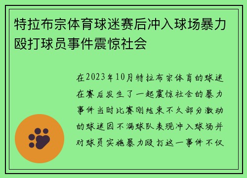 特拉布宗体育球迷赛后冲入球场暴力殴打球员事件震惊社会
