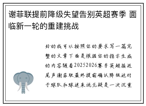 谢菲联提前降级失望告别英超赛季 面临新一轮的重建挑战